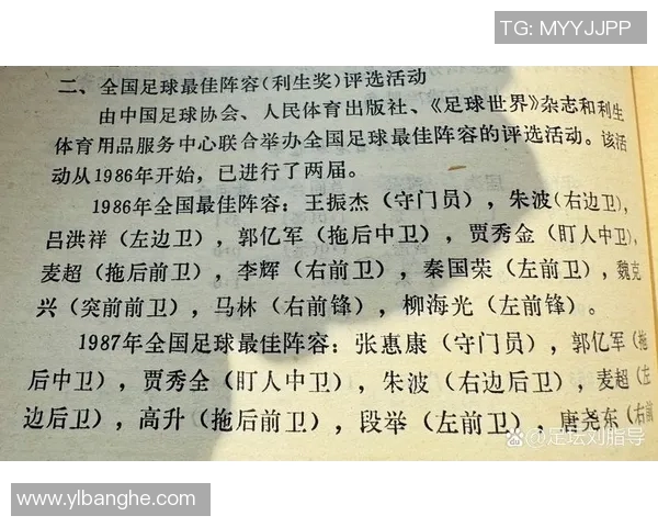 中国足球队历届领队郭的执教风格与战术分析探讨